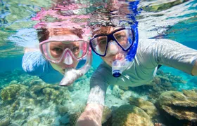 Picnic snorkel sail from St. John