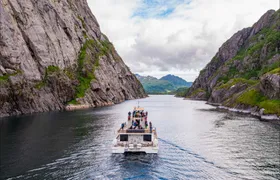 Silent Trollfjord cruise