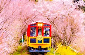 Kyoto Sanzen-in, Arashiyama and Bamboo Grove Full Day Tour