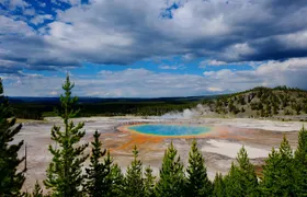 Private Yellowstone Tour: ICONIC Sites, Wildlife, Family Friendly Hikes + lunch