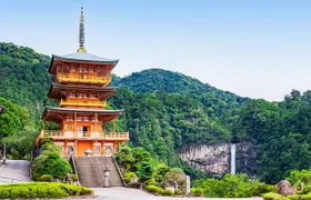Kumano Kodo Pilgrimage Tour with Licensed Guide & Vehicle