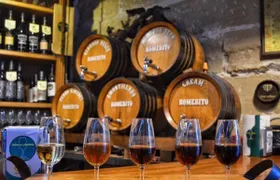 Jerez historic centre tour and tasting of 2 sherry wines