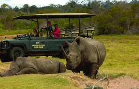 2hr Guided Game Drive at 10h00; Kragga Kamma Game Park Ticket