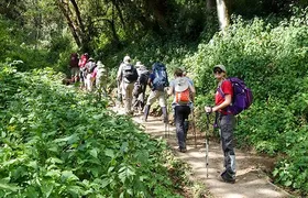 7 Day Kilimanjaro Climb - Machame route