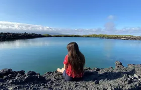 Snorkeling and Fauna Observation at Las Tintoreras Islet
