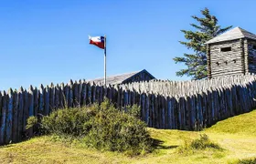 Punta Arenas and Magellan Strait Tour