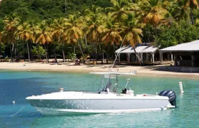 Sonic Charters- Full Day Boat Charter - 32' Intrepid Powerboat