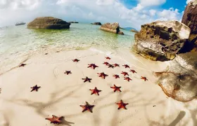 Land Tour 2: Discover the North - Kayaking & Starfish beach Phu Quoc (Not Lunch)