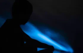 Bio-Luminescence and Sunset Kayak Tour