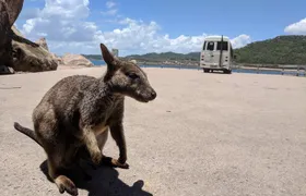 Magnetic Island Tour: Maggie Comprehensive