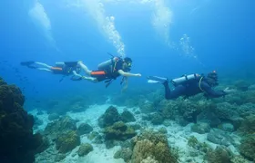 Koh Chang Dive Trip Including 3 Dives (Start at Koh Chang)