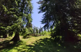 Local Adventures in the Rhodope Mountains