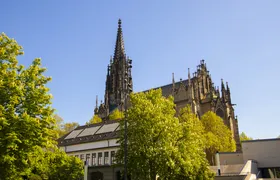 Exclusive private guided tour through the history of Basel with a local