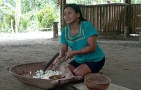 Day tour to discover the jungle with river adventure