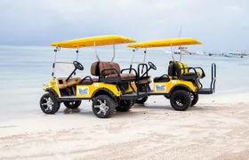 C&S (4 Seater) Golf Cart Rentals 