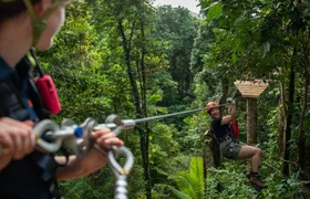 Ultimate Daintree and Cape Tribulation guided tour with meal