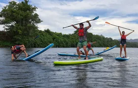 1.5 - 2 hour afternoon SUP class for all ages and levels