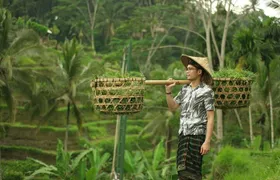Private Tour : Best of Ubud and Tanah Lot Temple with All inclusive