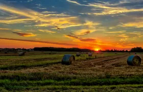 Romantic Chianti at Sunset - Small Group Excursion from Florence with Wine Tastings