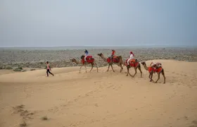 Overnight Camel Safari - Sleeping under the Stars