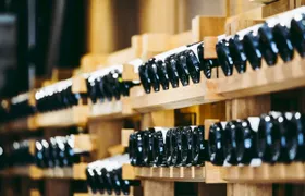 Côte de Beaune half-day wine tour with tastings from Dijon
