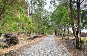 Full-Day Tour From São Filipe with Coffee Plantation and Natural Pools