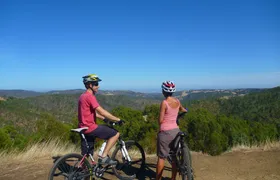Half-day Lofty Descents tour by bike