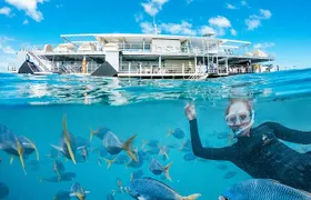 Great Barrier Reef Full Day Adventure