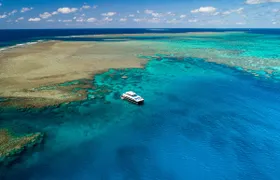 Calypso's Snorkel and Dive in the Outer Barrier Reef Tour