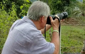 Birdwatching: Desaru's Winged Gems