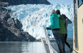 Full-Day Kenai Fjords National Park Northwestern Cruise