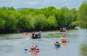 Half Day Mangrove Forest Kayaking Tour From Koh Lanta
