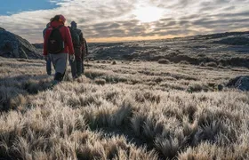 5.5-Hour Nat Park w/ Hiking *Shore Excursion* USHUAIA (Shared tour for cruises)