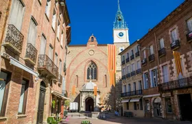 Perpignan 2-hour introductory walking tour with a local