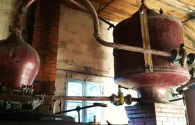 Vineyard and craft distilleries private day tour from Cognac