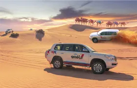 Dune dinner safari at Bassata Camp from Ras Al Khaimah