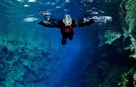 Silfra: Snorkeling Between Tectonic Plates Pick Up from Reykjavik