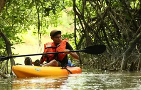 Lebam River Kayaking Adventure