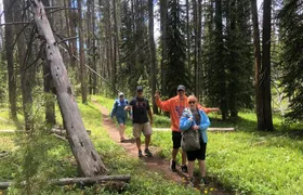 Private Hidden Gems of Yellowstone! Lunch w/ family friendly hikes included!