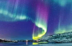 Aurora husky visit