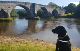 Braveheart (Battle of Stirling Bridge) Tour