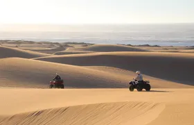  Big Cap Sim dunes and forest 3 hours tour.