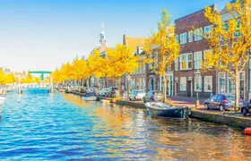 Leiden walking tour with a local