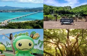 Okinawa Hip-hop Bus C Course Tour to Northern Island