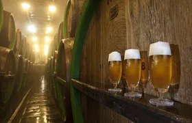 Pilsen Highlights Small-Group Tour and Pilsner Brewery Tour including Lunch and Beer Tasting