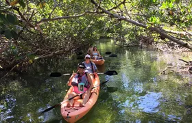 Mangroves and Manatees - Guided Kayak Eco Tour