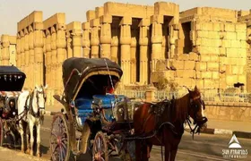 Aswan City Tour by Horse Carriage
