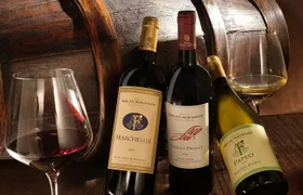 Bolgheri: Classic Wine Tasting with Winery Tour