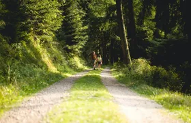 Panorama private hike through the Black Forest with a Local