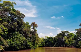 Caño Negro Tour & Río Frío Wildlife Safari by Boat